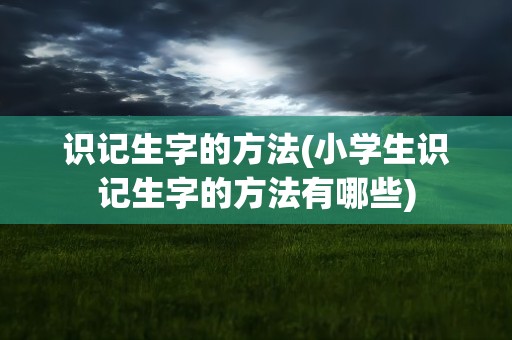 识记生字的方法(小学生识记生字的方法有哪些)