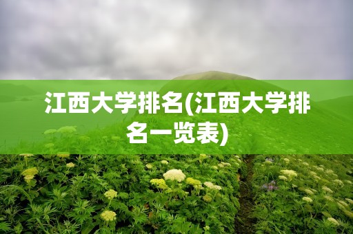 江西大学排名(江西大学排名一览表)