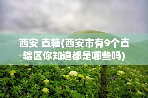 西安 直辖(西安市有9个直辖区你知道都是哪些吗)