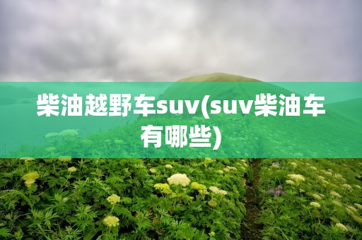 柴油越野车suv(suv柴油车有哪些)