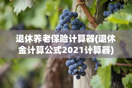 退休养老保险计算器(退休金计算公式2021计算器)
