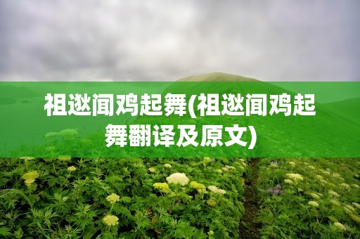 祖逖闻鸡起舞(祖逖闻鸡起舞翻译及原文)