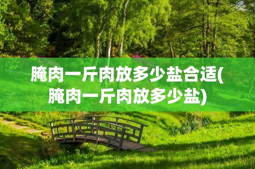腌肉一斤肉放多少盐合适(腌肉一斤肉放多少盐)