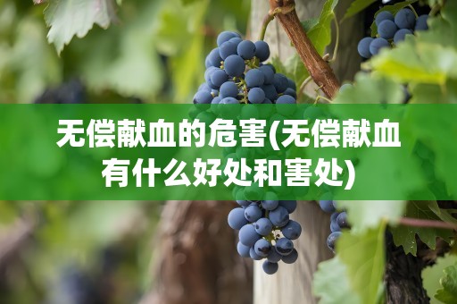 无偿献血的危害(无偿献血有什么好处和害处)