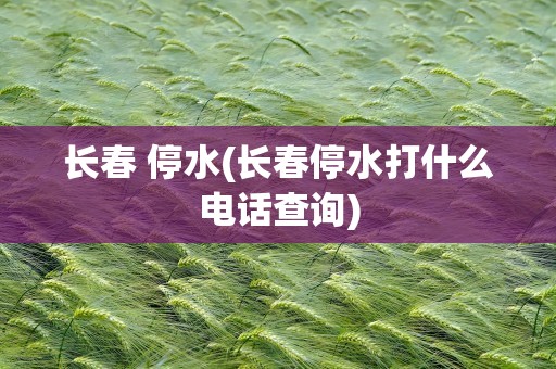 长春 停水(长春停水打什么电话查询)