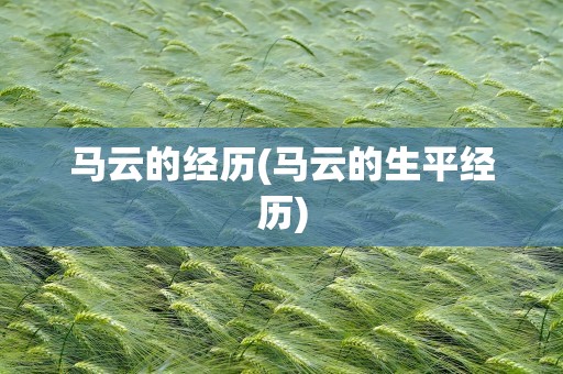 马云的经历(马云的生平经历)