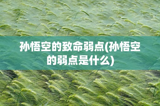 孙悟空的致命弱点(孙悟空的弱点是什么)