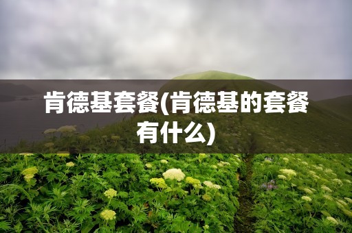 肯德基套餐(肯德基的套餐有什么)