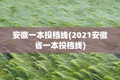 安徽一本投档线(2021安徽省一本投档线)