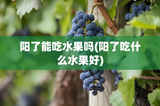 阳了能吃水果吗(阳了吃什么水果好)