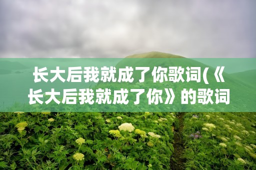长大后我就成了你歌词(《长大后我就成了你》的歌词)