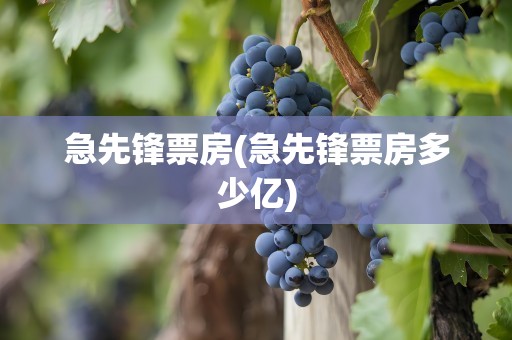 急先锋票房(急先锋票房多少亿)