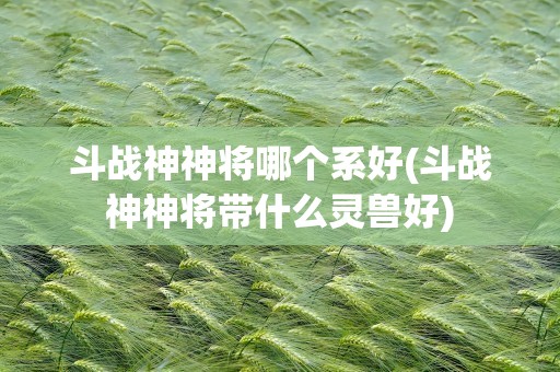 斗战神神将哪个系好(斗战神神将带什么灵兽好)