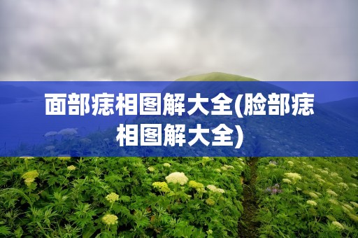 面部痣相图解大全(脸部痣相图解大全)