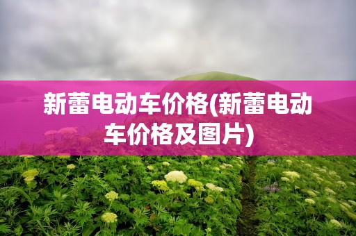 新蕾电动车价格(新蕾电动车价格及图片)