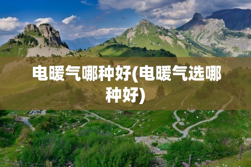 电暖气哪种好(电暖气选哪种好)