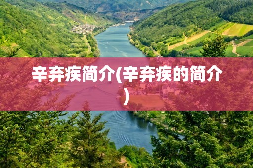 辛弃疾简介(辛弃疾的简介)