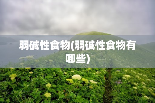 弱碱性食物(弱碱性食物有哪些)