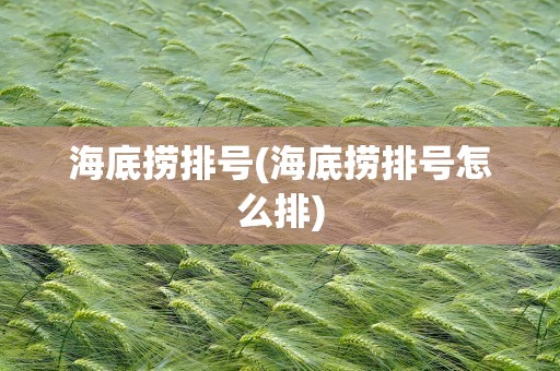 海底捞排号(海底捞排号怎么排)