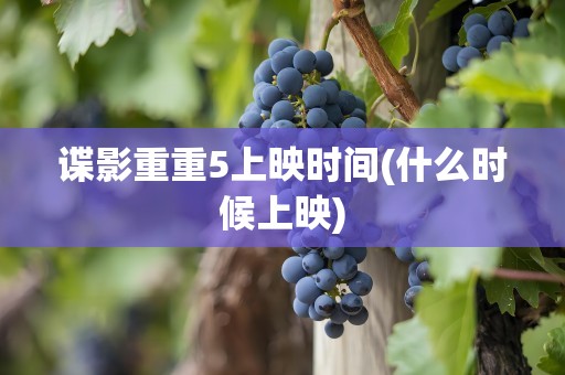 谍影重重5上映时间(什么时候上映)