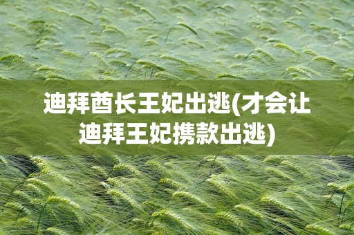 迪拜酋长王妃出逃(才会让迪拜王妃携款出逃)