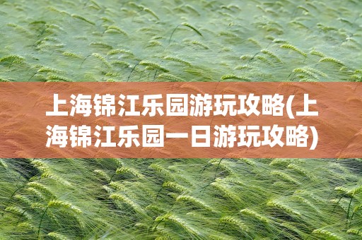 上海锦江乐园游玩攻略(上海锦江乐园一日游玩攻略)