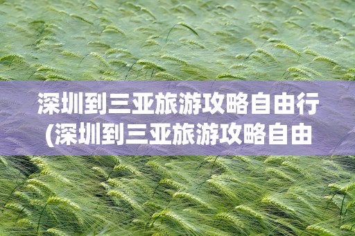 深圳到三亚旅游攻略自由行(深圳到三亚旅游攻略自由行路线)