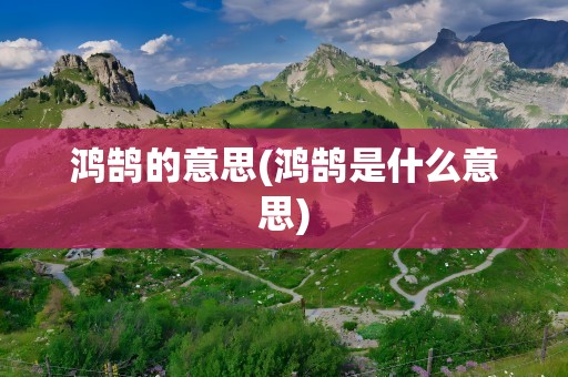 鸿鹄的意思(鸿鹄是什么意思)