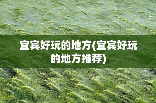 宜宾好玩的地方(宜宾好玩的地方推荐)