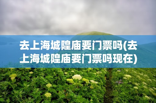 去上海城隍庙要门票吗(去上海城隍庙要门票吗现在)