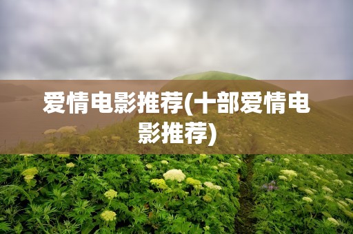 爱情电影推荐(十部爱情电影推荐)
