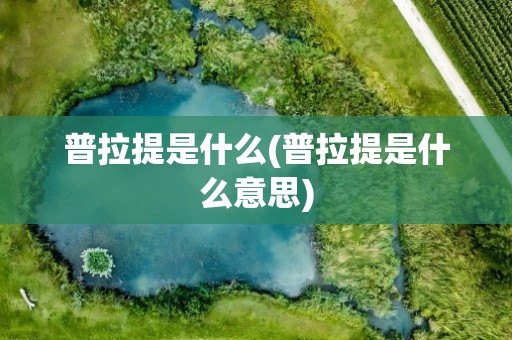 普拉提是什么(普拉提是什么意思)