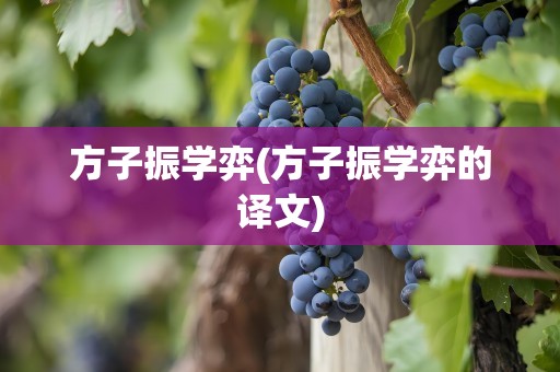 方子振学弈(方子振学弈的译文)