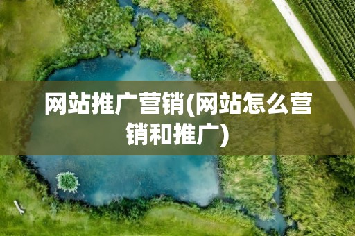 网站推广营销(网站怎么营销和推广)
