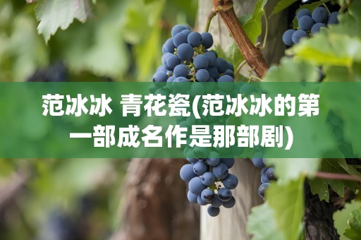 范冰冰 青花瓷(范冰冰的第一部成名作是那部剧)