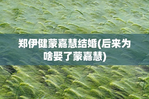 郑伊健蒙嘉慧结婚(后来为啥娶了蒙嘉慧)