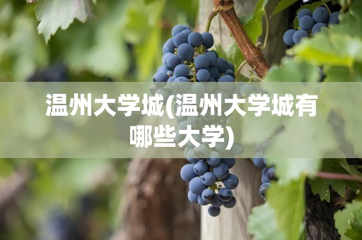温州大学城(温州大学城有哪些大学)
