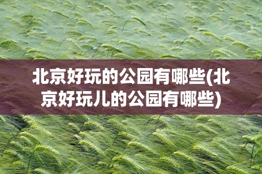 北京好玩的公园有哪些(北京好玩儿的公园有哪些)