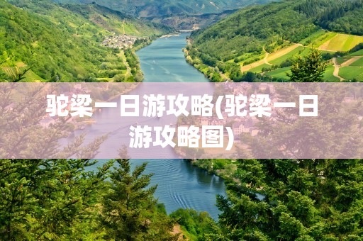 驼梁一日游攻略(驼梁一日游攻略图)