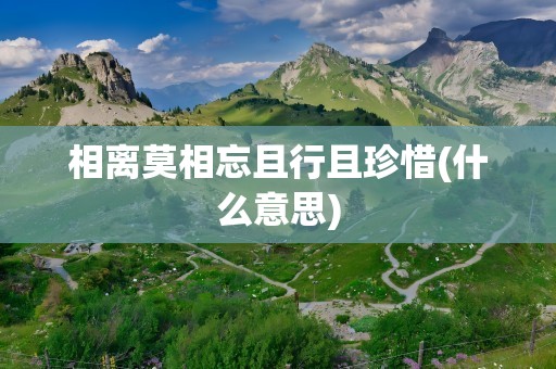 相离莫相忘且行且珍惜(什么意思)