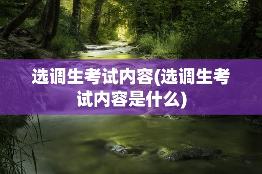 选调生考试内容(选调生考试内容是什么)