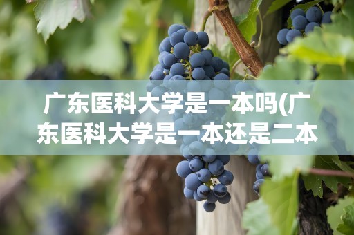 广东医科大学是一本吗(广东医科大学是一本还是二本)