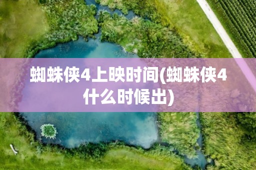 蜘蛛侠4上映时间(蜘蛛侠4什么时候出)