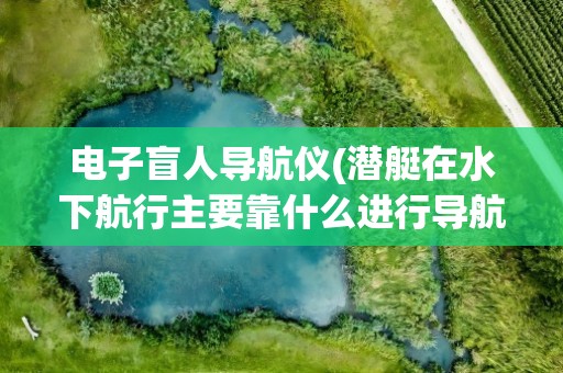电子盲人导航仪(潜艇在水下航行主要靠什么进行导航)