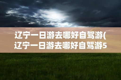 辽宁一日游去哪好自驾游(辽宁一日游去哪好自驾游51)