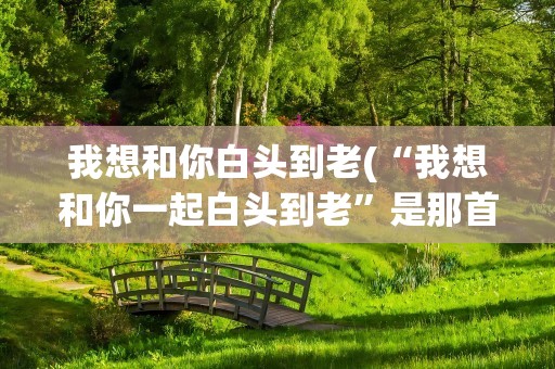 我想和你白头到老(“我想和你一起白头到老”是那首歌的歌词)