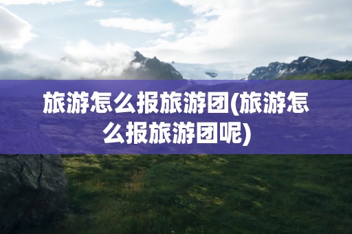 旅游怎么报旅游团(旅游怎么报旅游团呢)