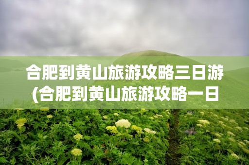 合肥到黄山旅游攻略三日游(合肥到黄山旅游攻略一日游)