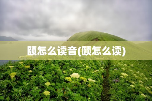 颐怎么读音(颐怎么读)