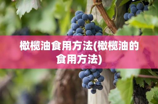 橄榄油食用方法(橄榄油的食用方法)